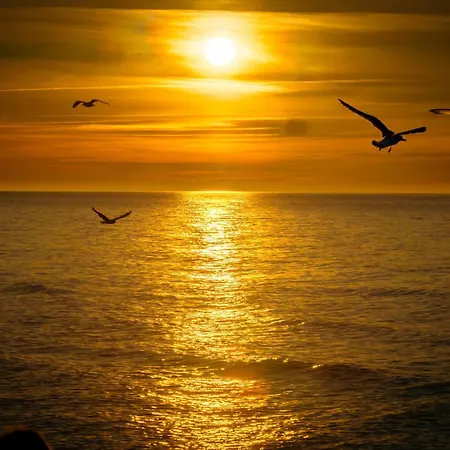 Letniskowe - Jodlowa 2 Pobierowo