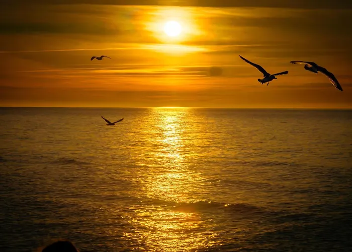 Letniskowe - Jodlowa 2 波别罗沃